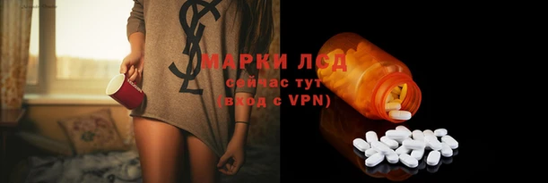 стаф Лихославль