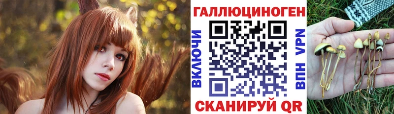 Псилоцибиновые грибы Psilocybine cubensis нарко площадка клад кракен зеркало Невельск купить цена
